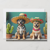 Sombreros Perros Kaart (Voorkant)