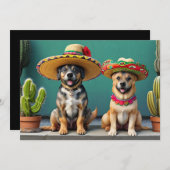 Sombreros Perros Kaart (Voorkant / Achterkant)