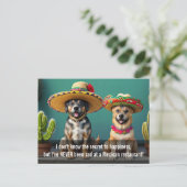 Sombreros perros meme briefkaart (Staand voorkant)