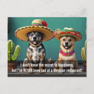 Sombreros perros meme briefkaart