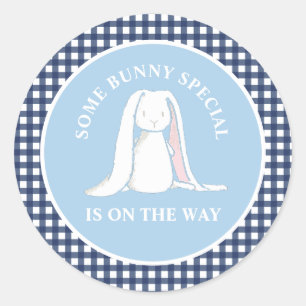 Some Bunny blauwe geruite baby shower Ronde Sticker