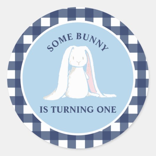 Some Bunny is One blauwe Gingham Verjaardag Ronde Sticker (Voorkant)