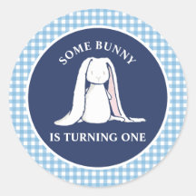 Some Bunny is One blauwe Gingham Verjaardag