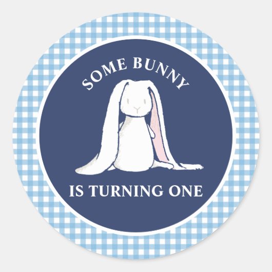 Some Bunny is One blauwe Gingham Verjaardag Ronde Sticker (Voorkant)