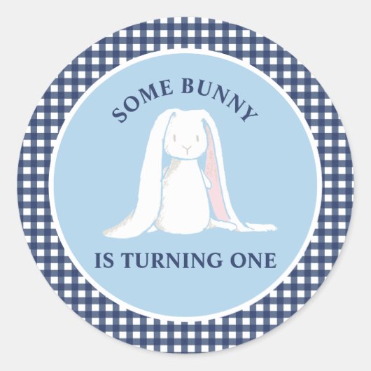 Some Bunny is One blauwe Gingham Verjaardag Ronde Sticker (Voorkant)