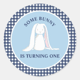 Some Bunny is One blauwe Gingham Verjaardag Ronde Sticker