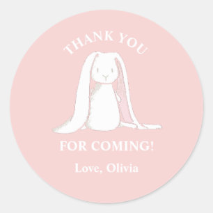 Some Bunny is One Roze Gingham Verjaardag Papieren Ronde Sticker