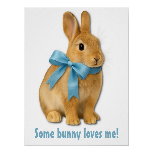 Some bunny loves me! perfect poster (Voorkant)