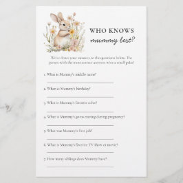 Somebunny Baby shower Game: Wie kent Mummy het bes