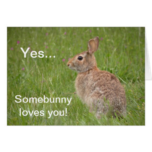 Somebunny houdt van u!