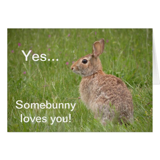 Somebunny houdt van u! (Voorkant Horizontaal)
