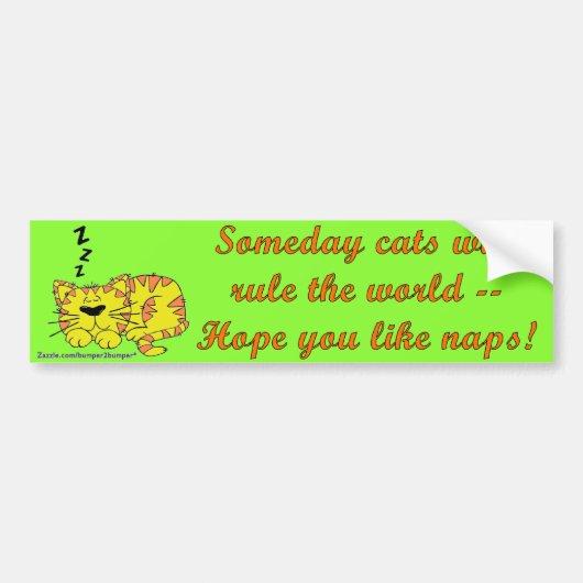 Someday Cats Bumpersticker (Voorkant)