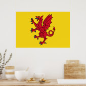 Somerset Flag England dragon symbol Poster (Keuken)