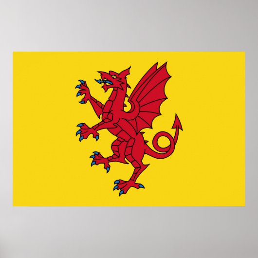 Somerset Flag England dragon symbol Poster (Voorkant)