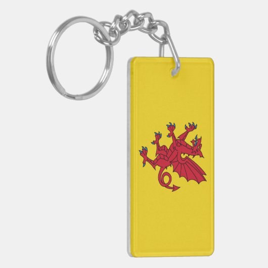 Somerset Flag England dragon symbol Sleutelhanger (Voorkant Links)