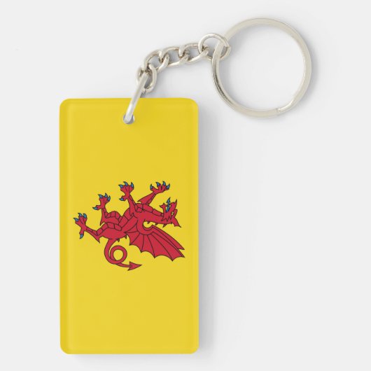 Somerset Flag England dragon symbol Sleutelhanger (achterkant)