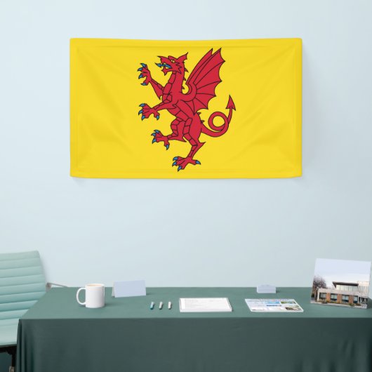Somerset Flag England dragon symbol Spandoek (Beurs)