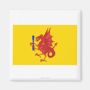 Somerset Flag Magneet