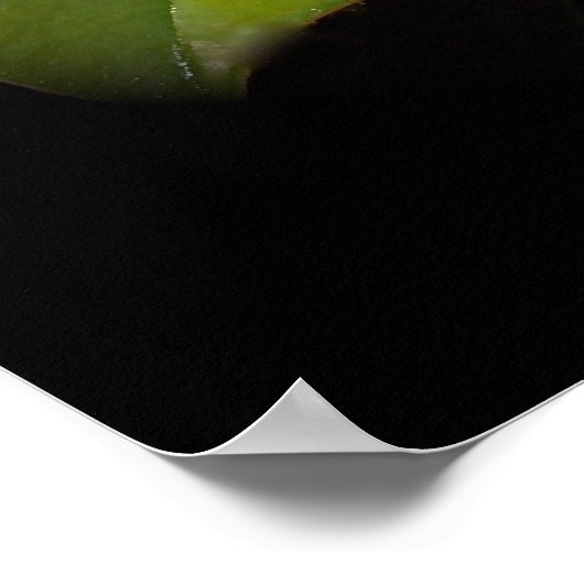 Something Southern Poster (Hoek)