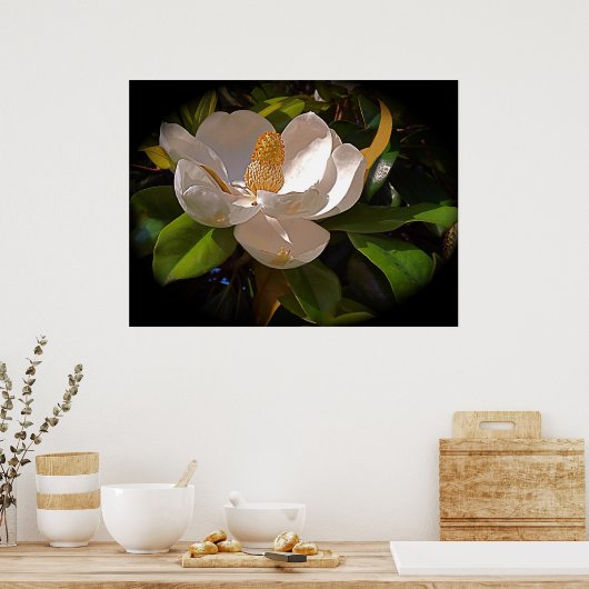 Something Southern Poster (Keuken)