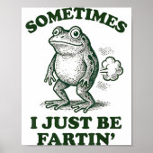 Sometimes I Just Be Fartin' Funny Frog Poster (Voorkant)