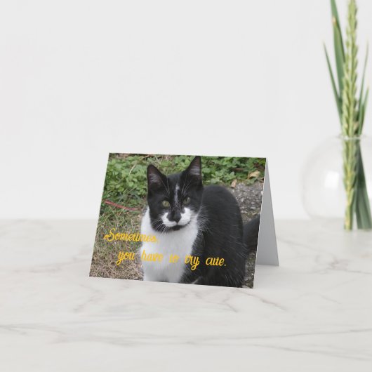 Sometimes, you have to try cute. bedankkaart (Voorkant)