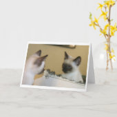 Sometimes, you just know you look good. kaart (Gele Bloem)