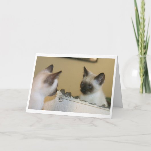 Sometimes, you just know you look good. kaart (Voorkant)