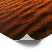 Somewhere Else – Facing the World Poster (Hoek)