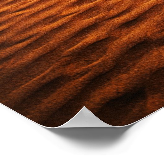 Somewhere Else – Facing the World Poster (Hoek)