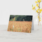 Sommige bereiken grotere hoogten Kaart (Gele Bloem)