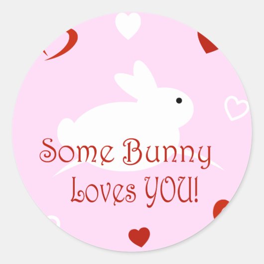Sommige Bunny Houdt Van Jou Valentijnsdag Stickers (Voorkant)