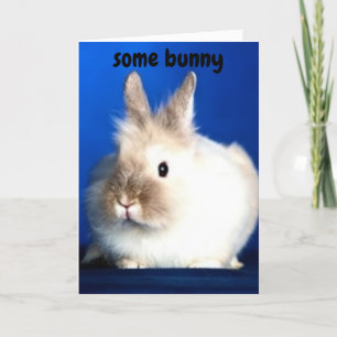 SOMMIGE BUNNY HOUDT VAN "U" KAART