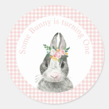 Sommige Bunny is één Bunny Roze Gingham Verjaardag