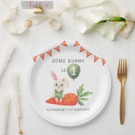 Sommige Bunny is één verjaardag Papieren Bordje