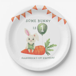 Sommige Bunny is één verjaardag Papieren Bordje