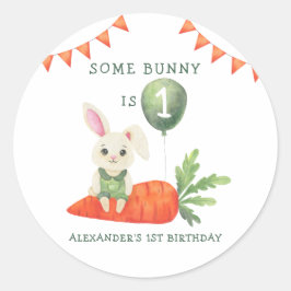 Sommige Bunny is één verjaardag Ronde Sticker