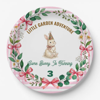 Sommige Bunny Is Verjaardag Gepersonaliseerde Bunn Papieren Bordje