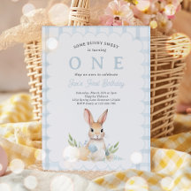 Sommige Bunny Pastel Spring Blue Gingham 1e Verjaa