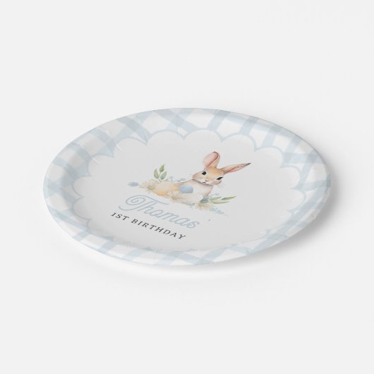 Sommige Bunny Pastel Spring Blue Gingham 1e Verjaa Papieren Bordje (Gekanteld)