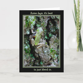 Sommige dagen, is het best het enkel om te mengen kaart