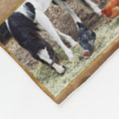 Sommige kippen en een paardenbanket fleece deken (Hoek)
