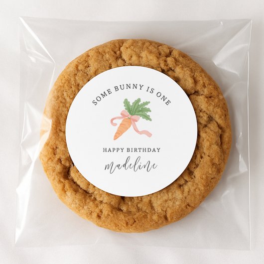 Sommige konijn is een moderne eenvoudige 1e verjaa ronde sticker