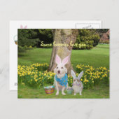 Sommige konijnen houden van je! briefkaart (Voorkant / Achterkant)