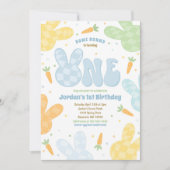 Sommige konijntje 1e verjaardag moderne konijnenfe kaart (Voorkant)