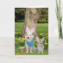 Sommige konijntjes houden van je! feestdagen kaart