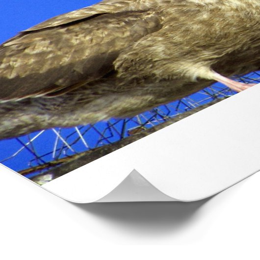 Sommige Poster (Hoek)