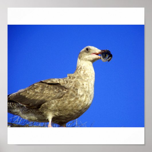 Sommige Poster (Voorkant)