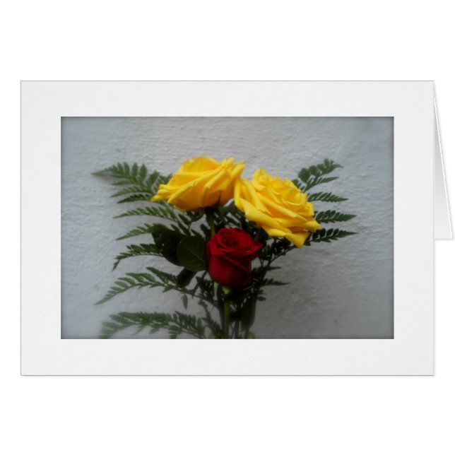 (Sommige) Rozen zijn rood (Voorkant Horizontaal)