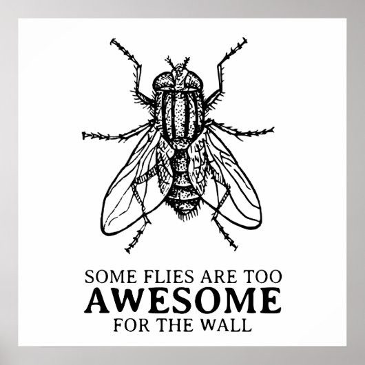 Sommige vliegen poster (Voorkant)